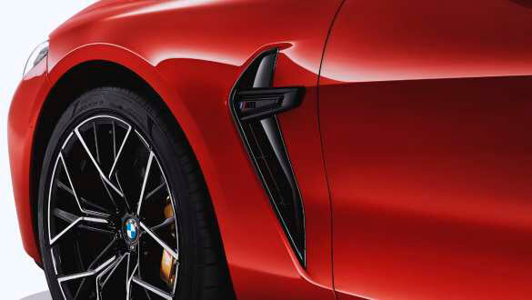 Бічні зябра М у чорному кольорі.