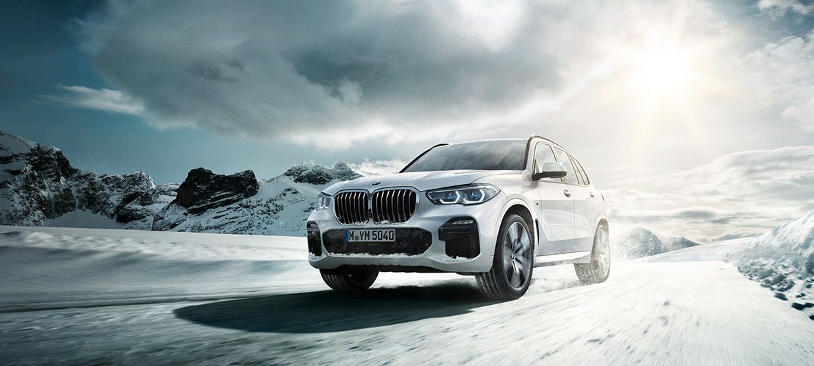 photo_in_container28725